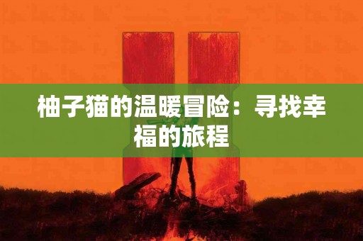 真实体验：我如何在TP钱包购买新币