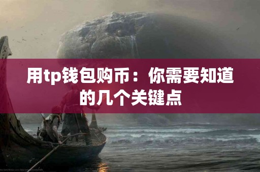 用tp钱包购币：你需要知道的几个关键点