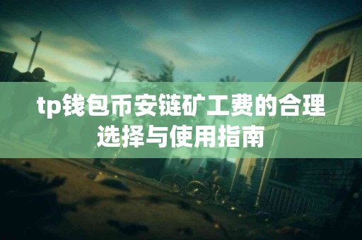 tp钱包币安链矿工费的合理选择与使用指南