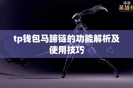 tp钱包马蹄链的功能解析及使用技巧