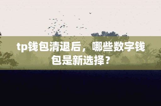 tp钱包清退后，哪些数字钱包是新选择？