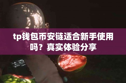 tp钱包币安链适合新手使用吗？真实体验分享