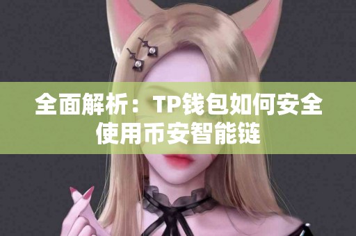 全面解析：TP钱包如何安全使用币安智能链