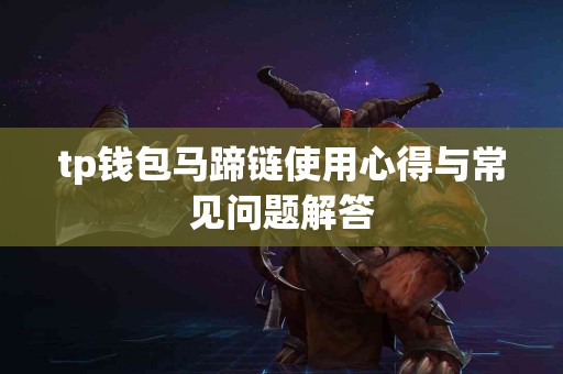 tp钱包马蹄链使用心得与常见问题解答