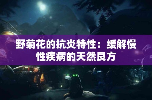 野菊花的抗炎特性：缓解慢性疾病的天然良方