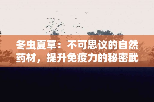 冬虫夏草：不可思议的自然药材，提升免疫力的秘密武器