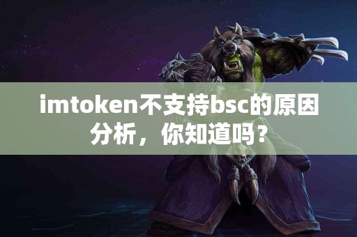 imtoken不支持bsc的原因分析，你知道吗？
