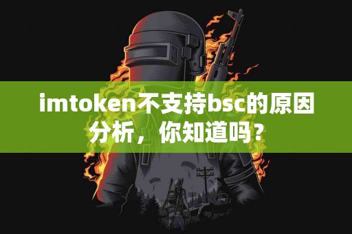 imtoken不支持bsc的原因分析，你知道吗？