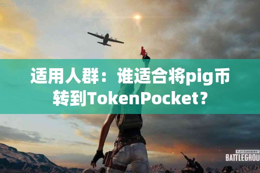 适用人群：谁适合将pig币转到TokenPocket？