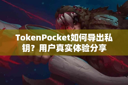 TokenPocket如何导出私钥？用户真实体验分享