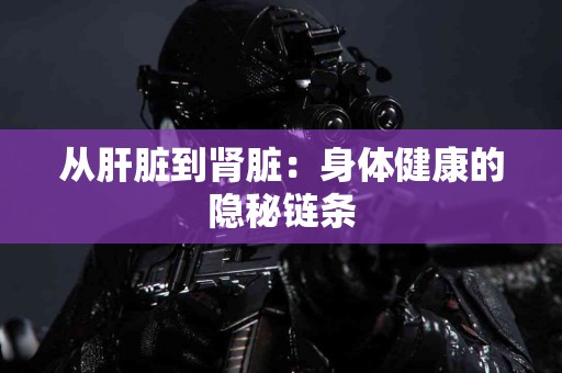 从肝脏到肾脏：身体健康的隐秘链条