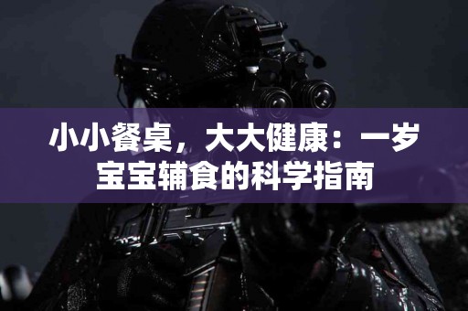 小小餐桌，大大健康：一岁宝宝辅食的科学指南