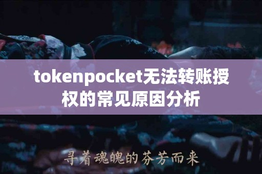 tokenpocket无法转账授权的常见原因分析