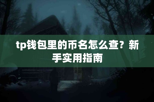 tp钱包里的币名怎么查？新手实用指南