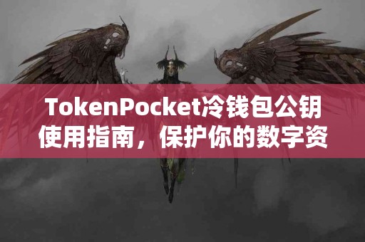 TokenPocket冷钱包公钥使用指南，保护你的数字资产