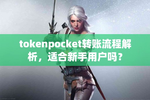 tokenpocket转账流程解析，适合新手用户吗？