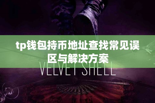 tp钱包持币地址查找常见误区与解决方案