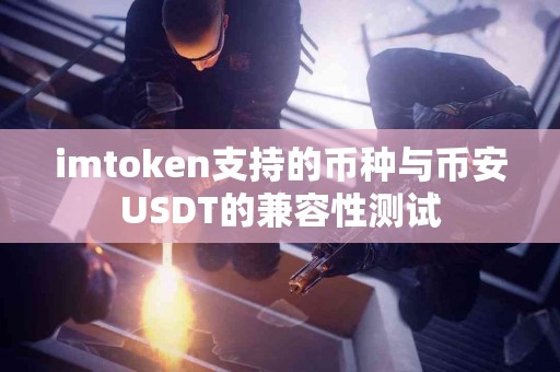 imtoken支持的币种与币安USDT的兼容性测试