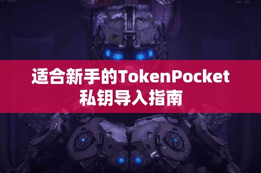适合新手的TokenPocket私钥导入指南