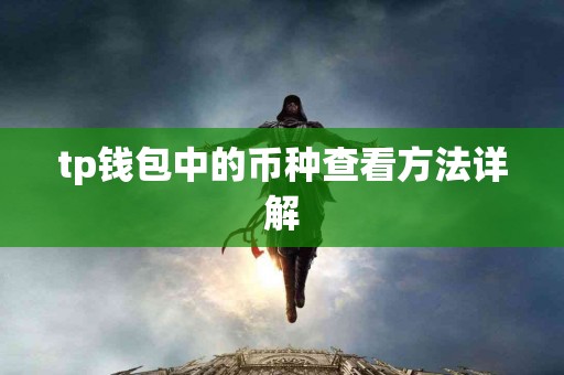 tp钱包中的币种查看方法详解