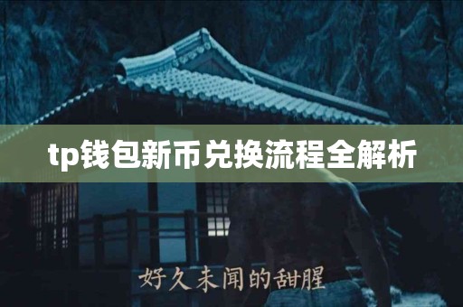 tp钱包新币兑换流程全解析