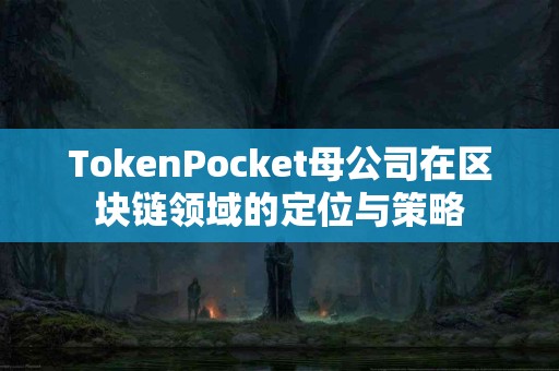 TokenPocket母公司在区块链领域的定位与策略