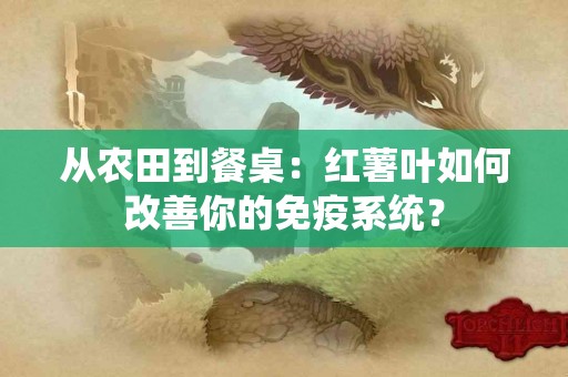 从农田到餐桌：红薯叶如何改善你的免疫系统？