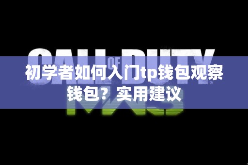 初学者如何入门tp钱包观察钱包？实用建议
