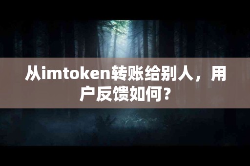 从imtoken转账给别人，用户反馈如何？
