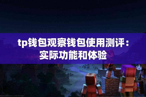 tp钱包观察钱包使用测评：实际功能和体验