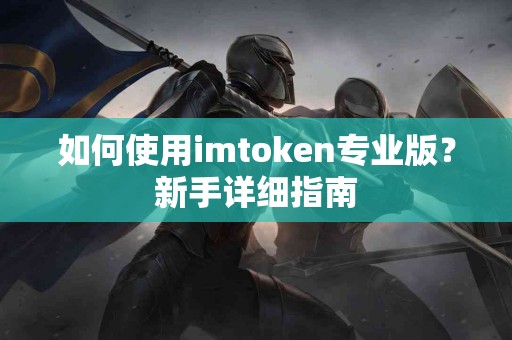 如何使用imtoken专业版？新手详细指南