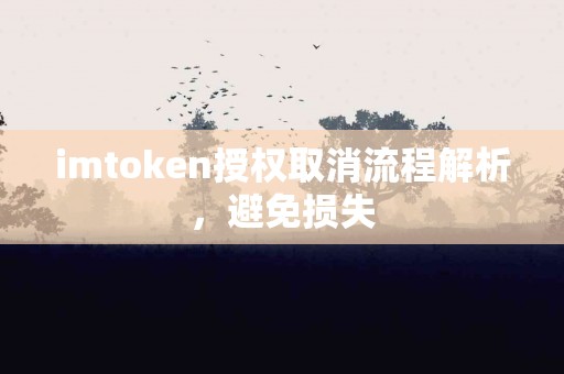 imtoken授权取消流程解析，避免损失
