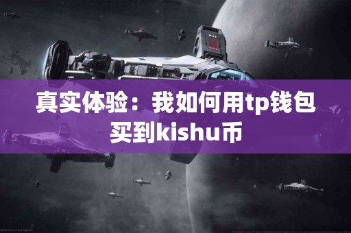 真实体验：我如何用tp钱包买到kishu币