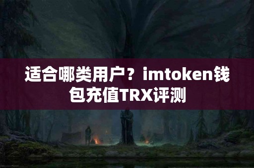 适合哪类用户？imtoken钱包充值TRX评测