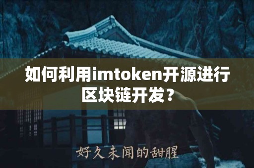 如何利用imtoken开源进行区块链开发？