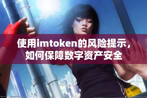使用imtoken的风险提示，如何保障数字资产安全