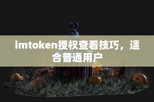 imtoken授权查看技巧，适合普通用户