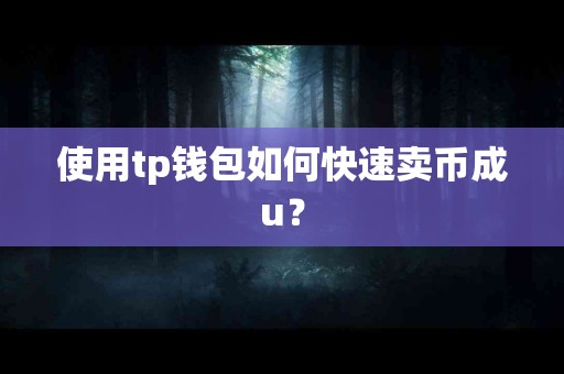 使用tp钱包如何快速卖币成u？