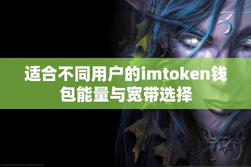 适合不同用户的imtoken钱包能量与宽带选择