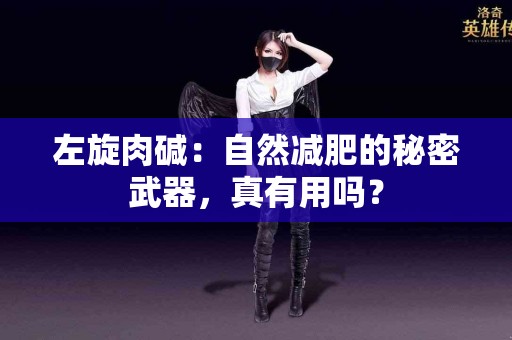 左旋肉碱：自然减肥的秘密武器，真有用吗？