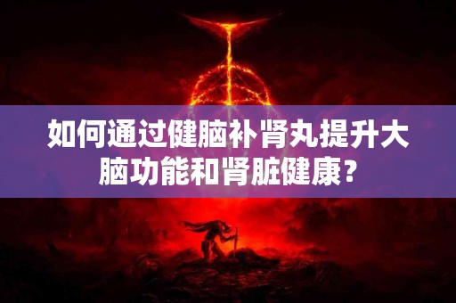如何通过健脑补肾丸提升大脑功能和肾脏健康？