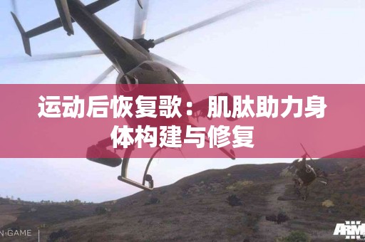 运动后恢复歌：肌肽助力身体构建与修复