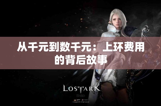 从千元到数千元：上环费用的背后故事