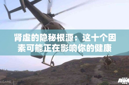 肾虚的隐秘根源：这十个因素可能正在影响你的健康